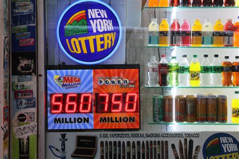 can a non citizen win the lottery|US Lottery: Can undocumented immigrants collect .